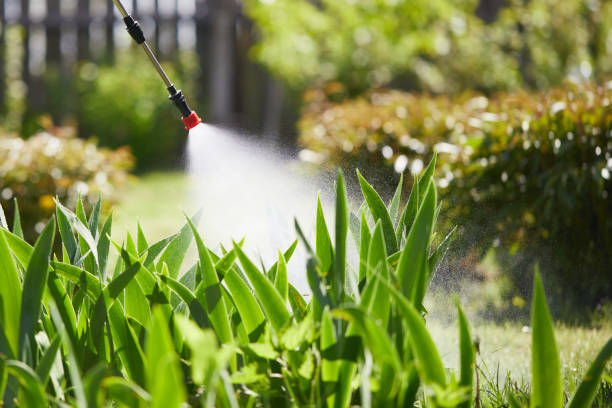 24/7 Emergency Mosquito Control experts in Helmetta, NJ