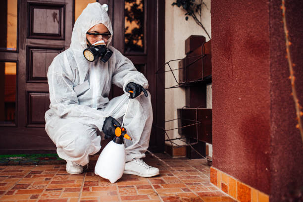 Reliable Mosquito Control contractor in Helmetta, NJ by Nex Pest Control